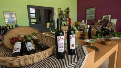 Винные туры в Италию, где самое вкусное вино